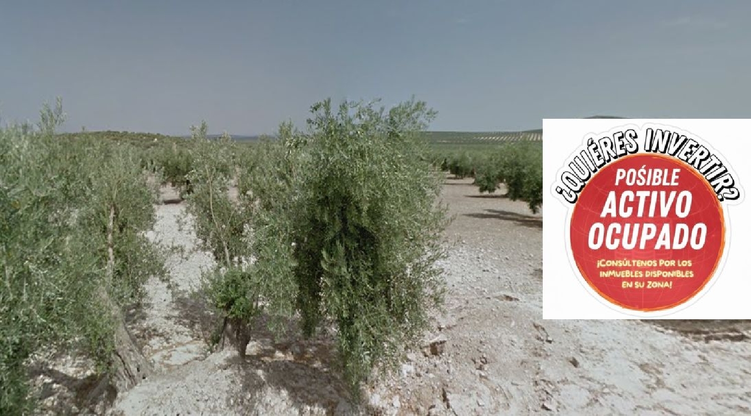 for sale plot Torredonjimeno Metropolitana De Jaén 1