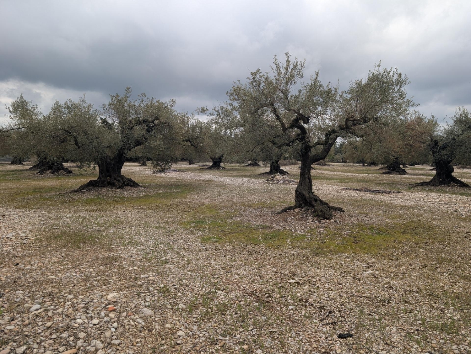  en venta terreno Traiguera Baix Maestrat 8