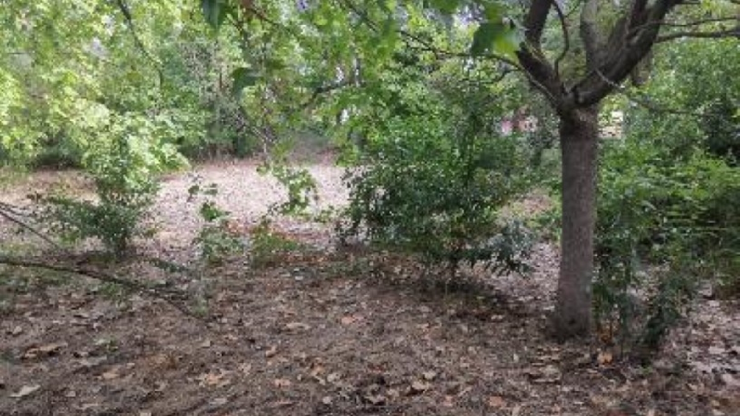  kaufen Grundstück Umbrete Aljarafe 4