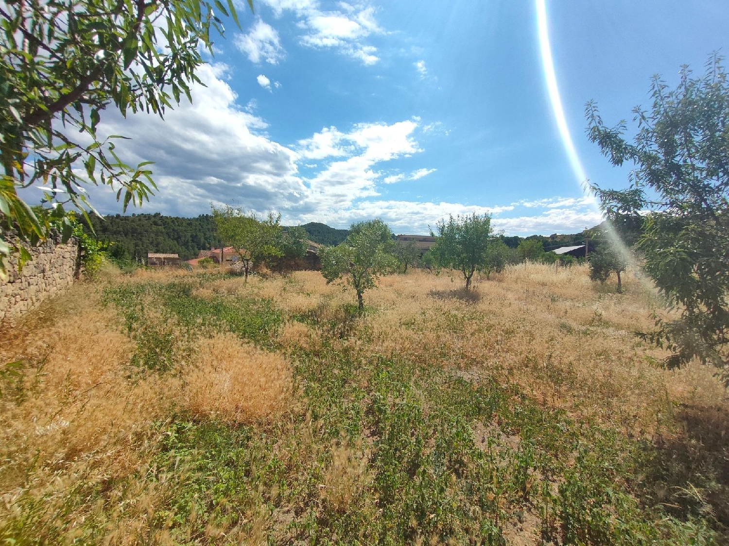 for sale plot Valdeltormo Matarraña 3