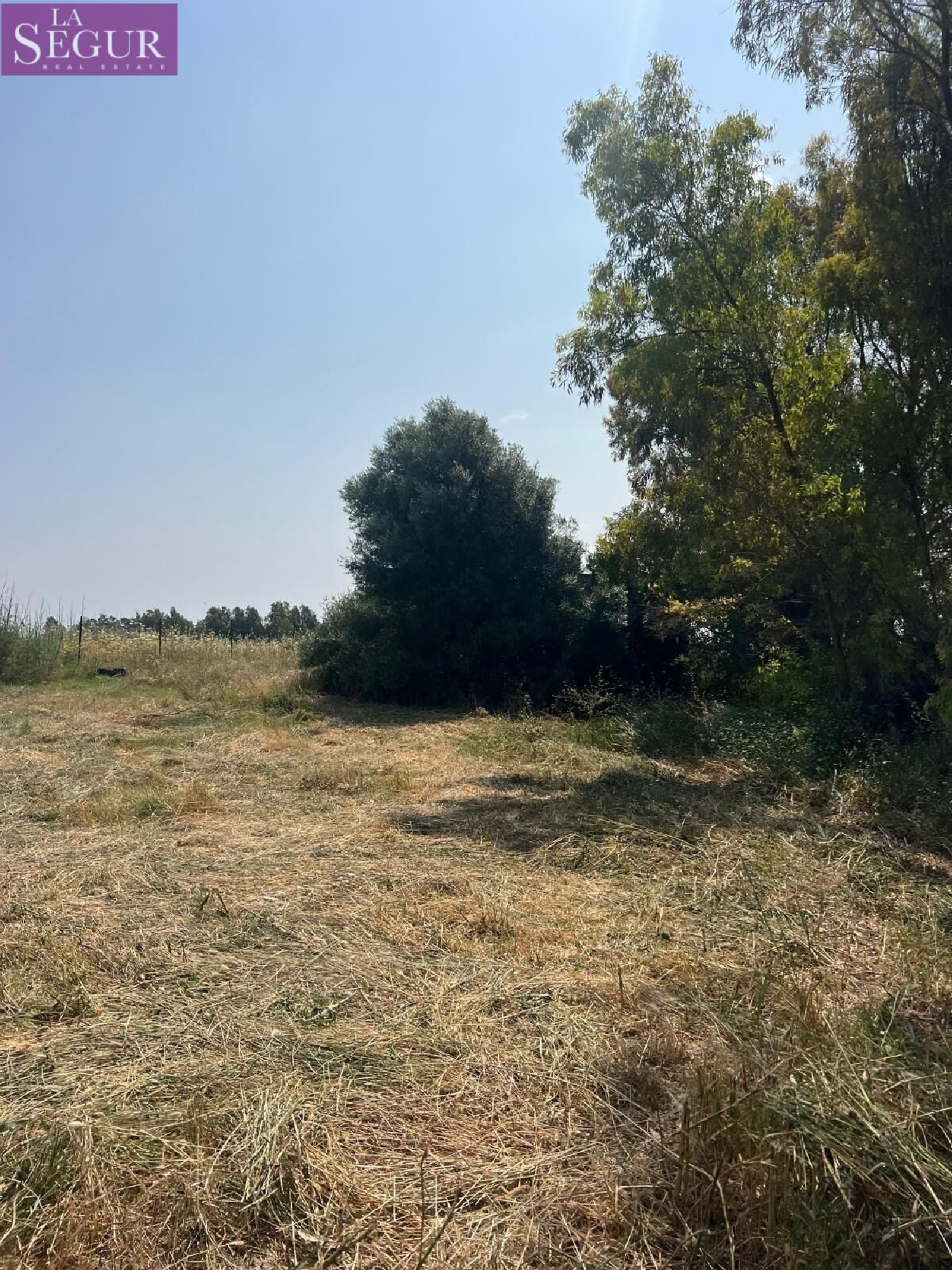  kaufen Grundstück Vejer De La Frontera Janda (La) 7