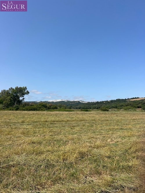 Vejer De La Frontera Janda (La) Grundstück Bild 6367202