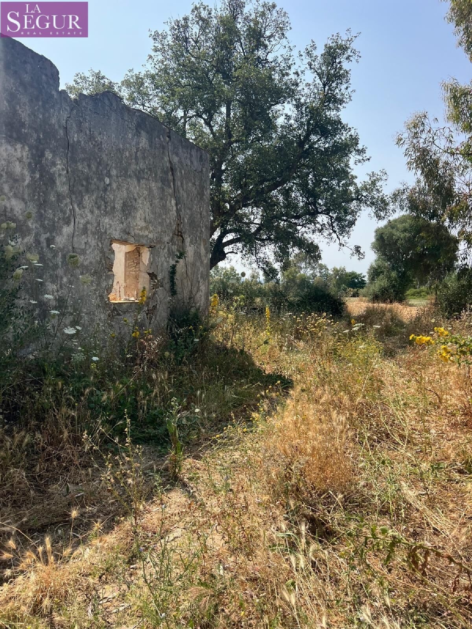  kaufen Grundstück Vejer De La Frontera Janda (La) 5