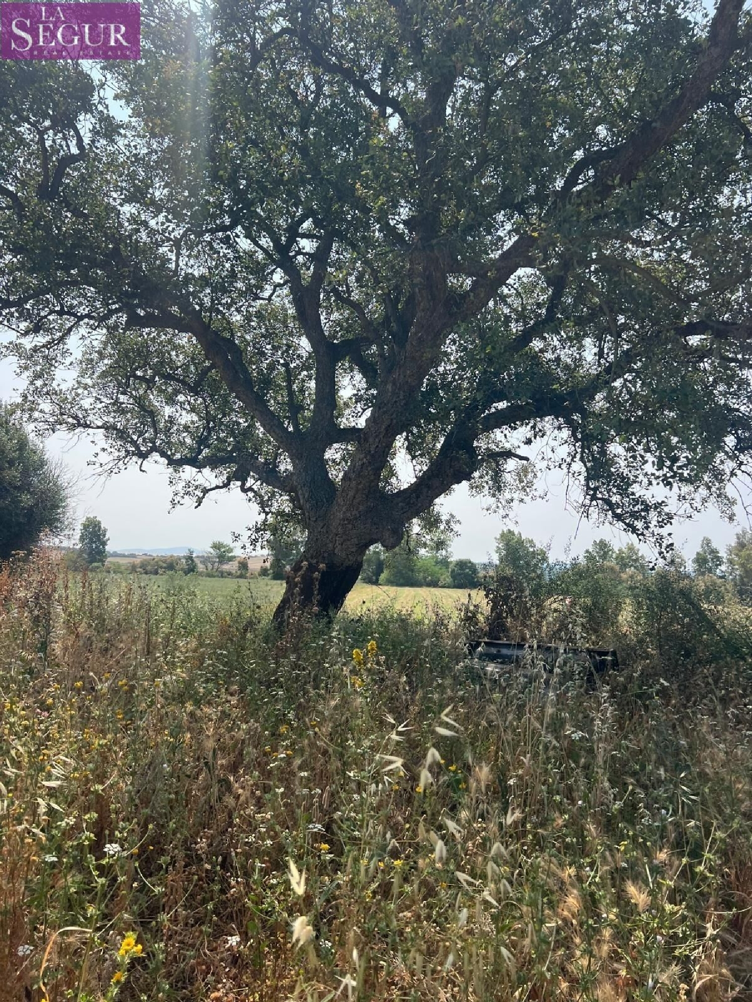  kaufen Grundstück Vejer De La Frontera Janda (La) 4