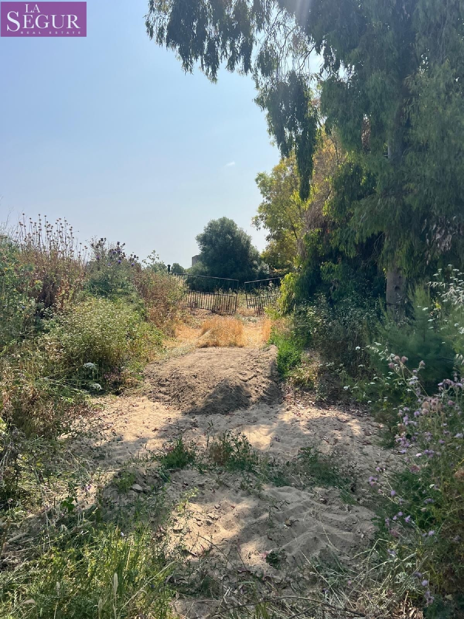  kaufen Grundstück Vejer De La Frontera Janda (La) 8