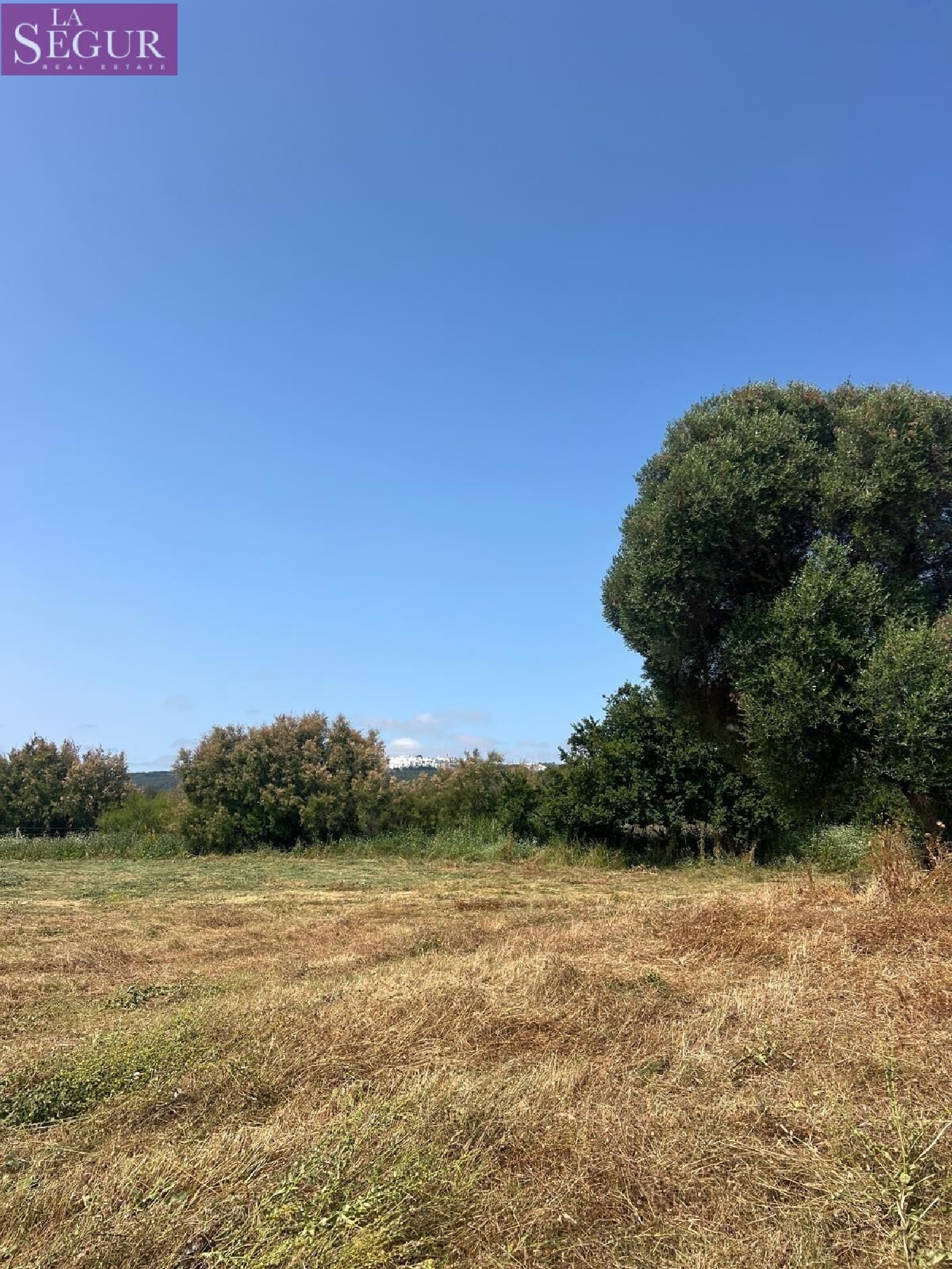  kaufen Grundstück Vejer De La Frontera Janda (La) 3