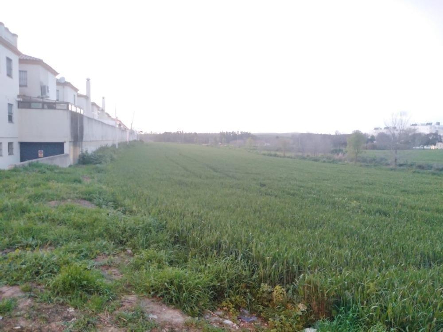  kaufen Grundstück Villamartín Baix Segura 3