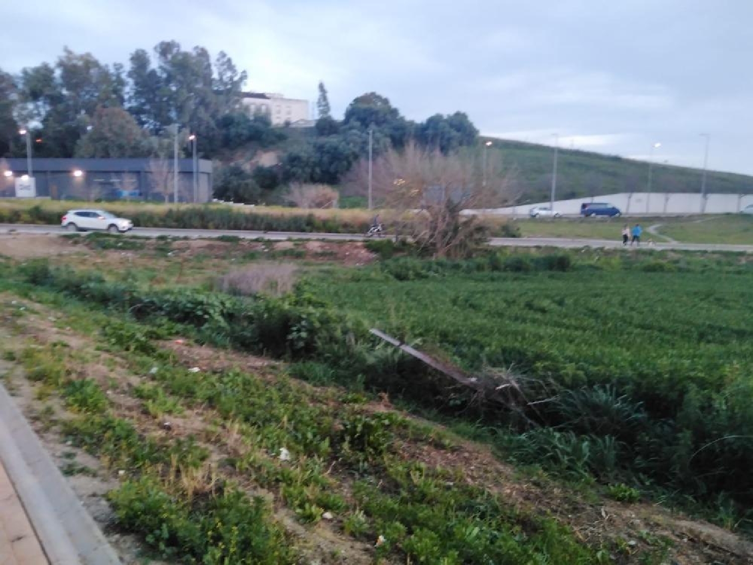  kaufen Grundstück Villamartín Baix Segura 6