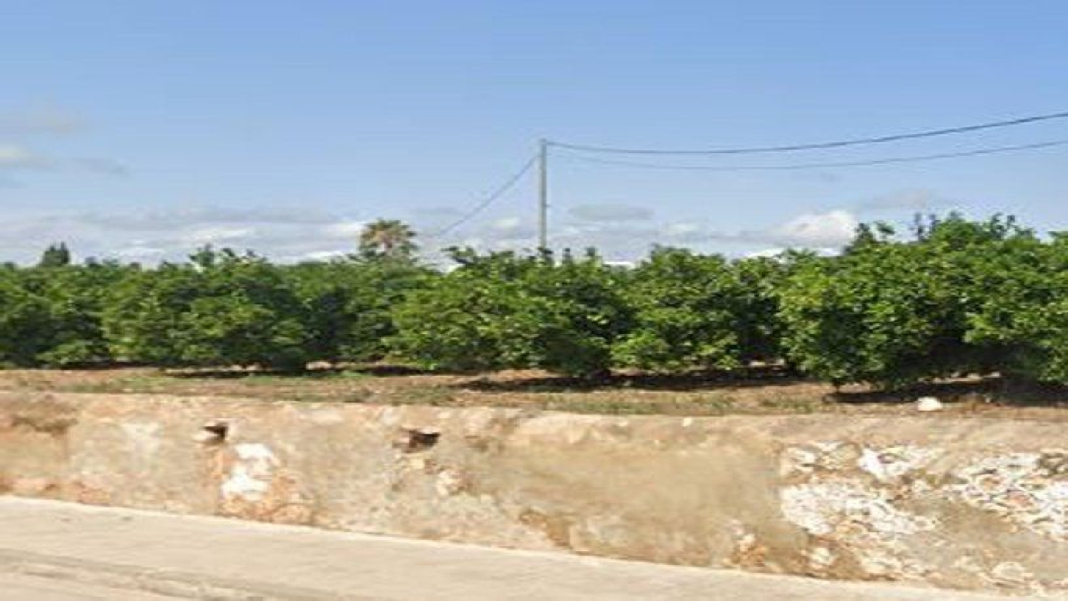  for sale plot Vinaros Baix Maestrat 7