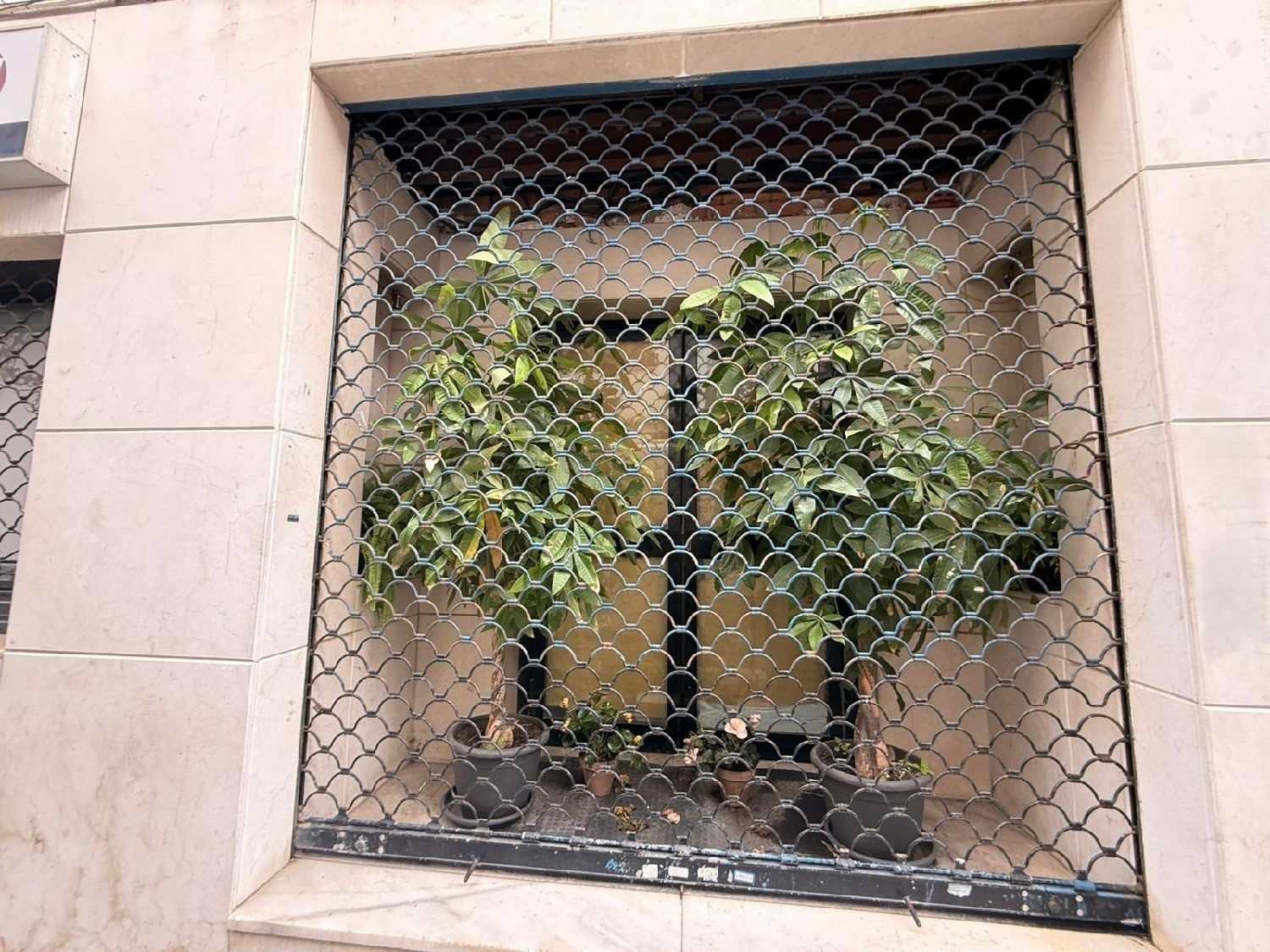  till salu lokal Algeciras Casco Antiguo Campo De Gibraltar 3