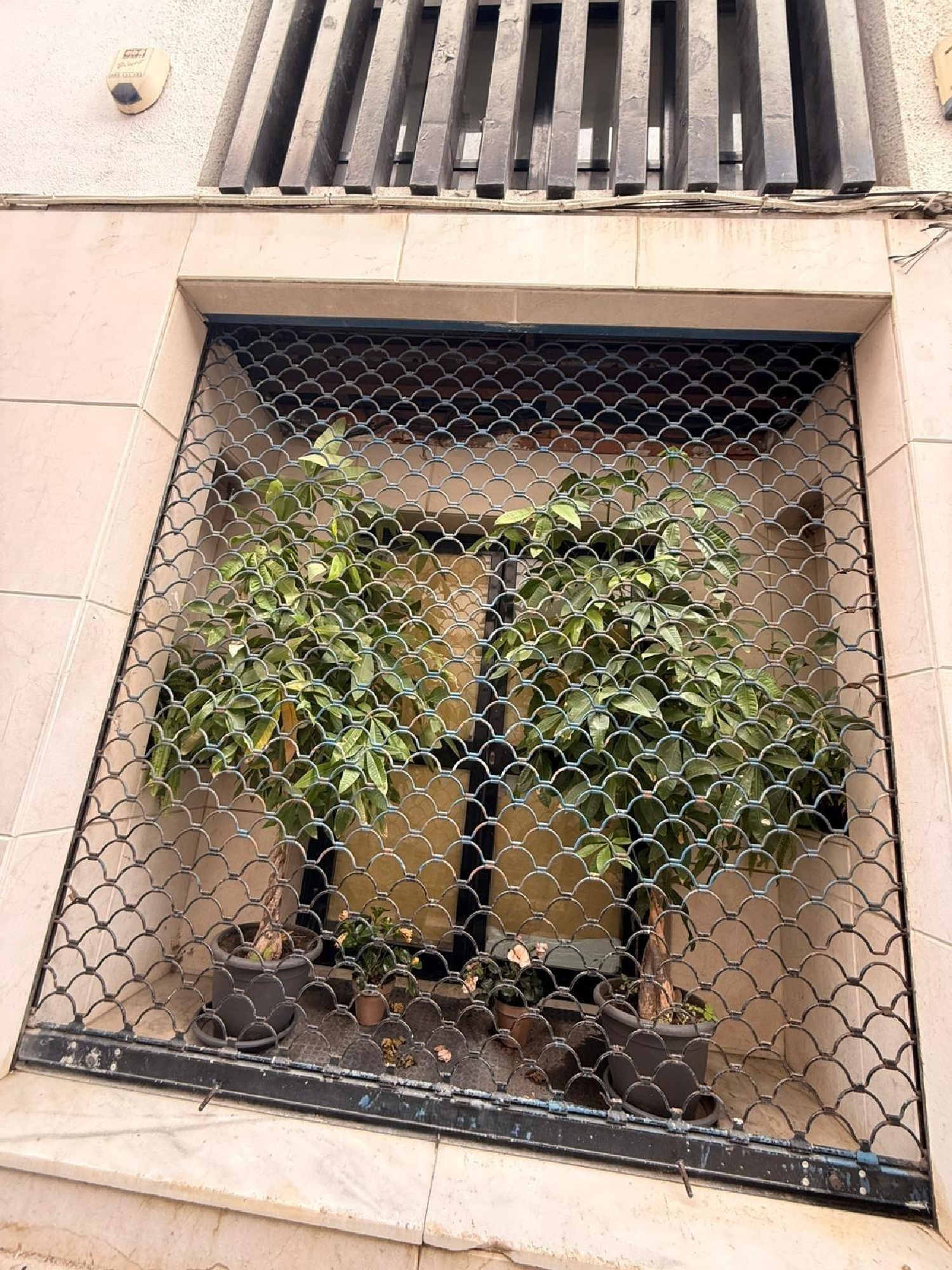  till salu lokal Algeciras Casco Antiguo Campo De Gibraltar 4