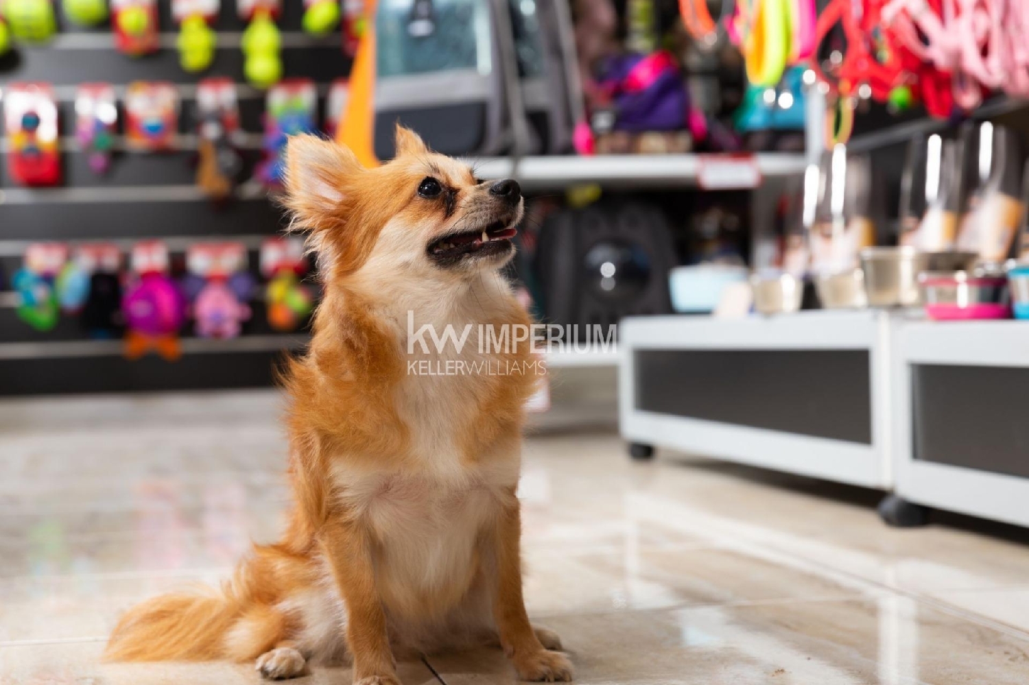 à vendre local commercial Balco De Tarragona Tarragonès 5