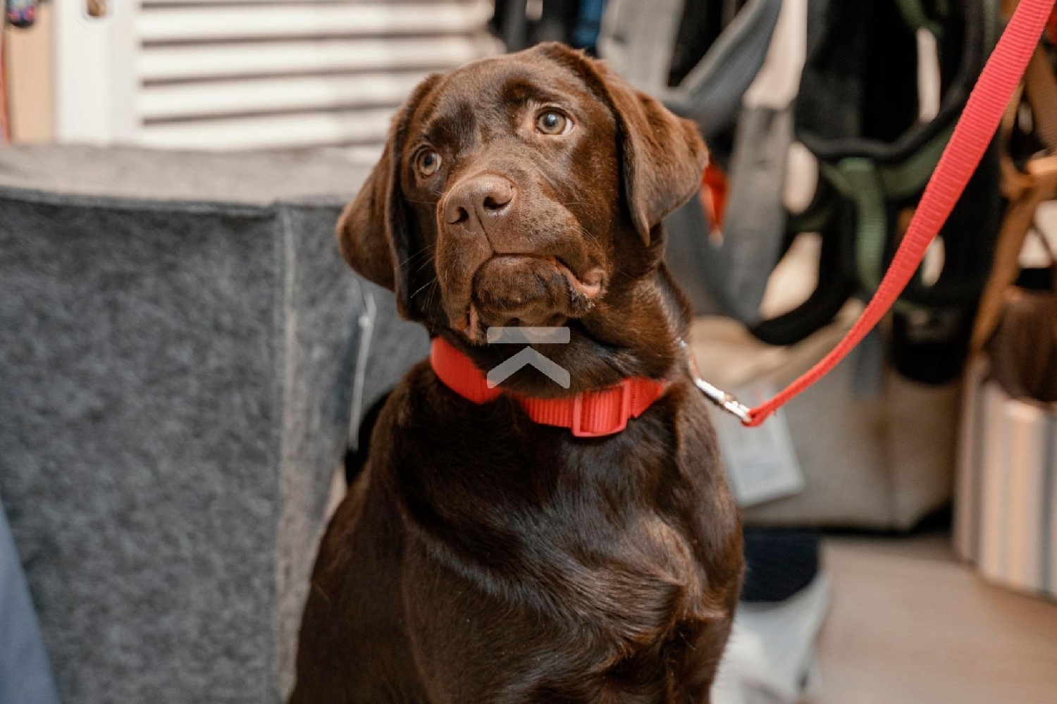  kaufen Gewerberaum Balco De Tarragona Tarragonès 7