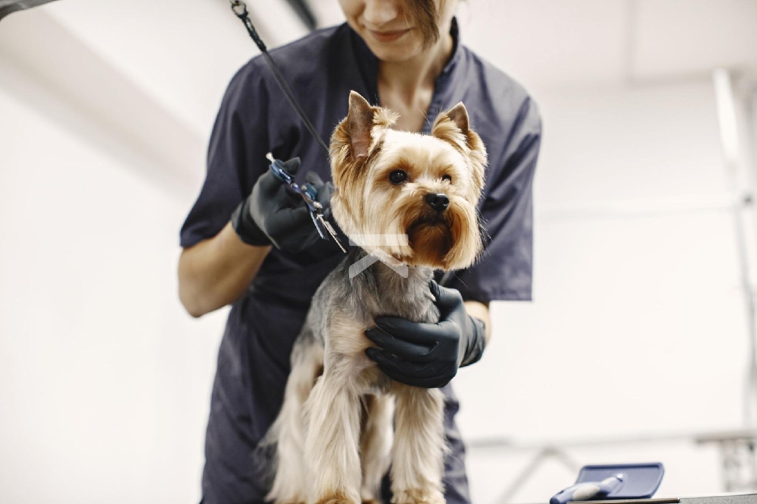  kaufen Gewerberaum Balco De Tarragona Tarragonès 5