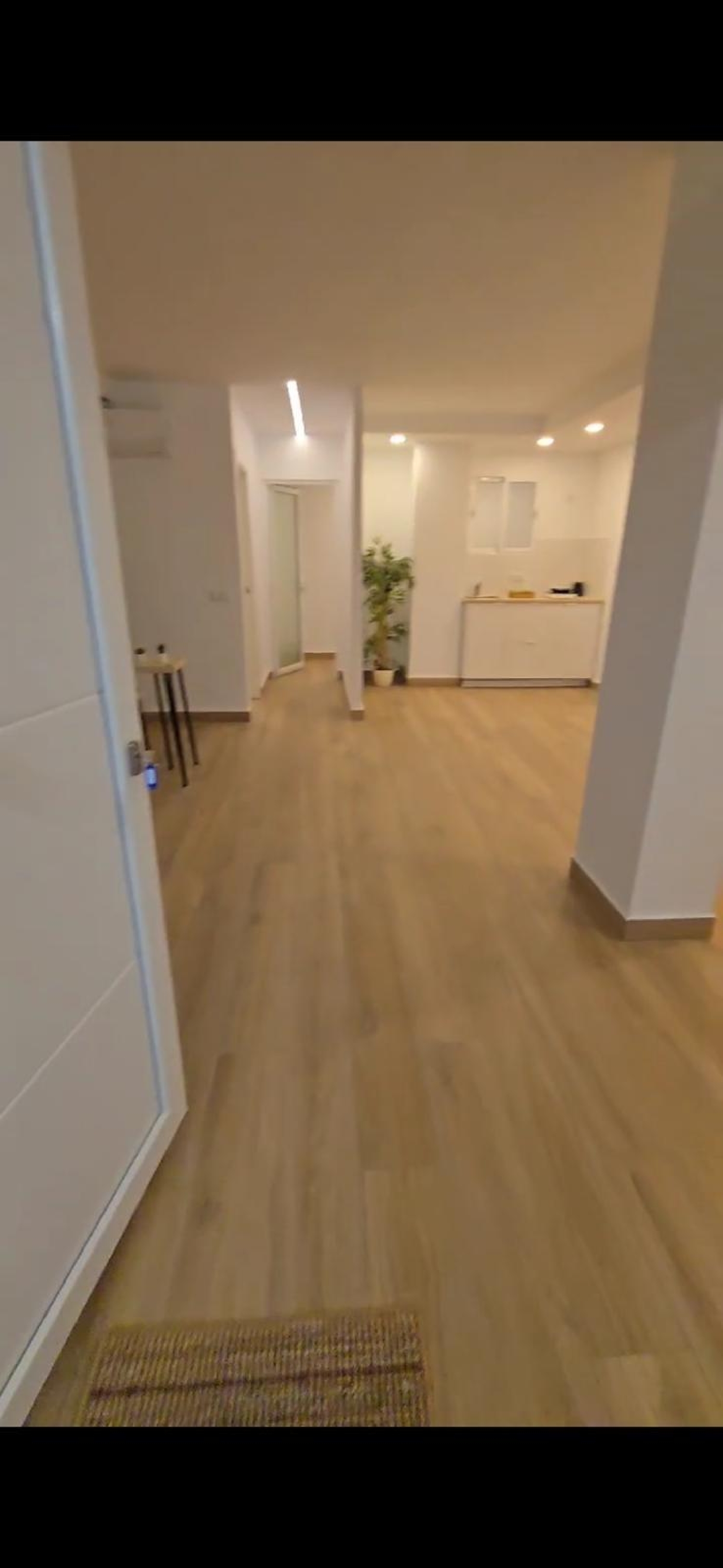  kaufen Gewerberaum Calvià Ponent 6