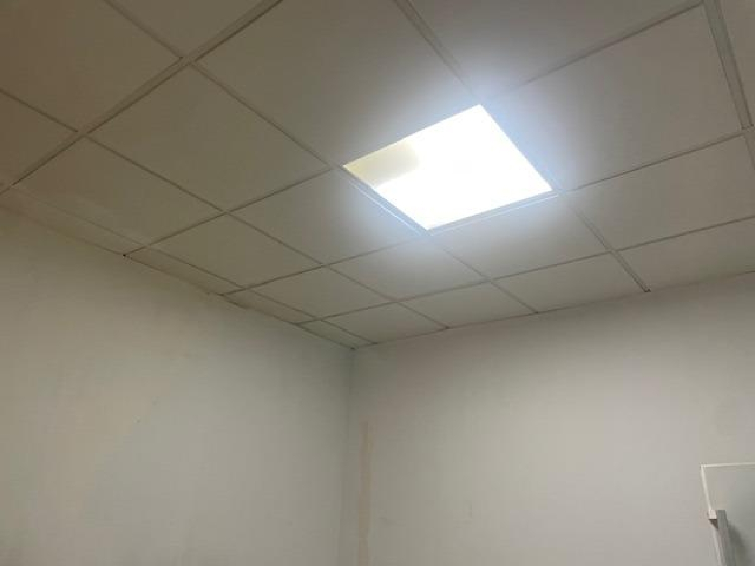 for sale commercial premise Cartagena Campo De Cartagena 6