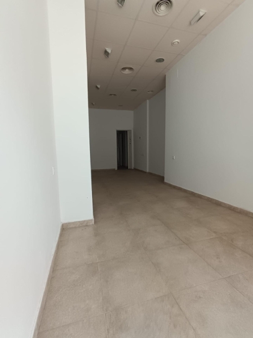 Dos Hermanas Málaga-Costa Del Sol bedrijfsruimte foto 6356298