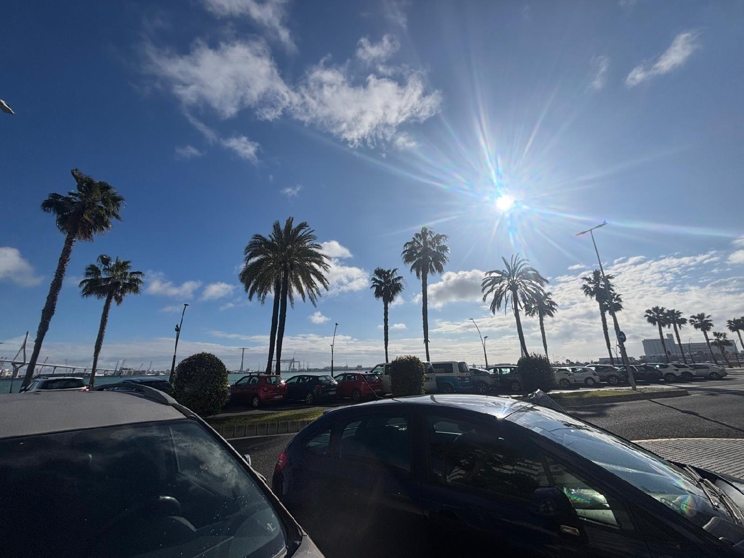  en venta local Picadizo Sar 1