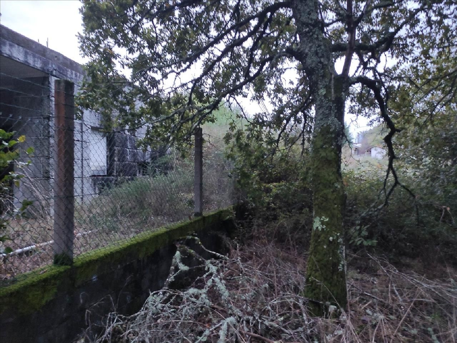  en venta local Piñor Santiago 2