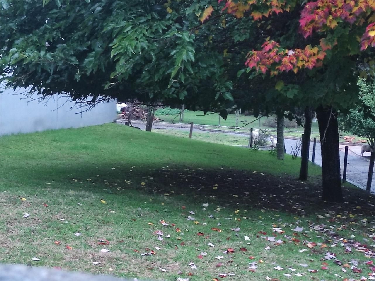  en venta local Piñor Santiago 4