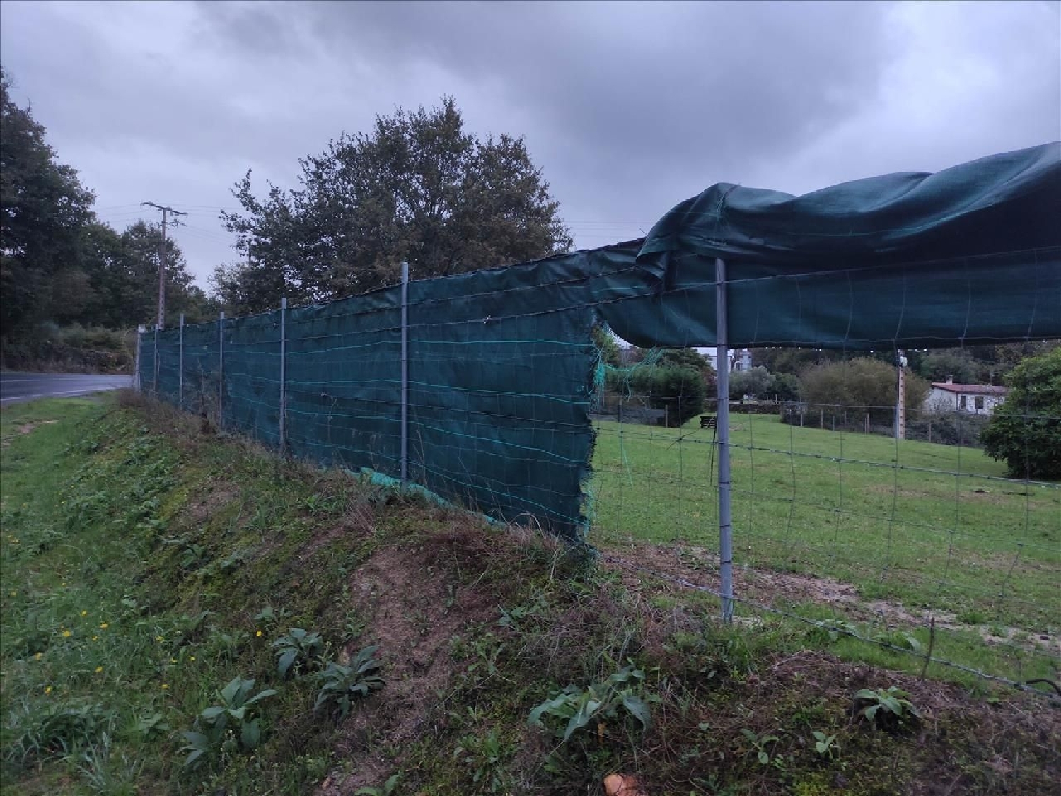  en venta local Piñor Santiago 3