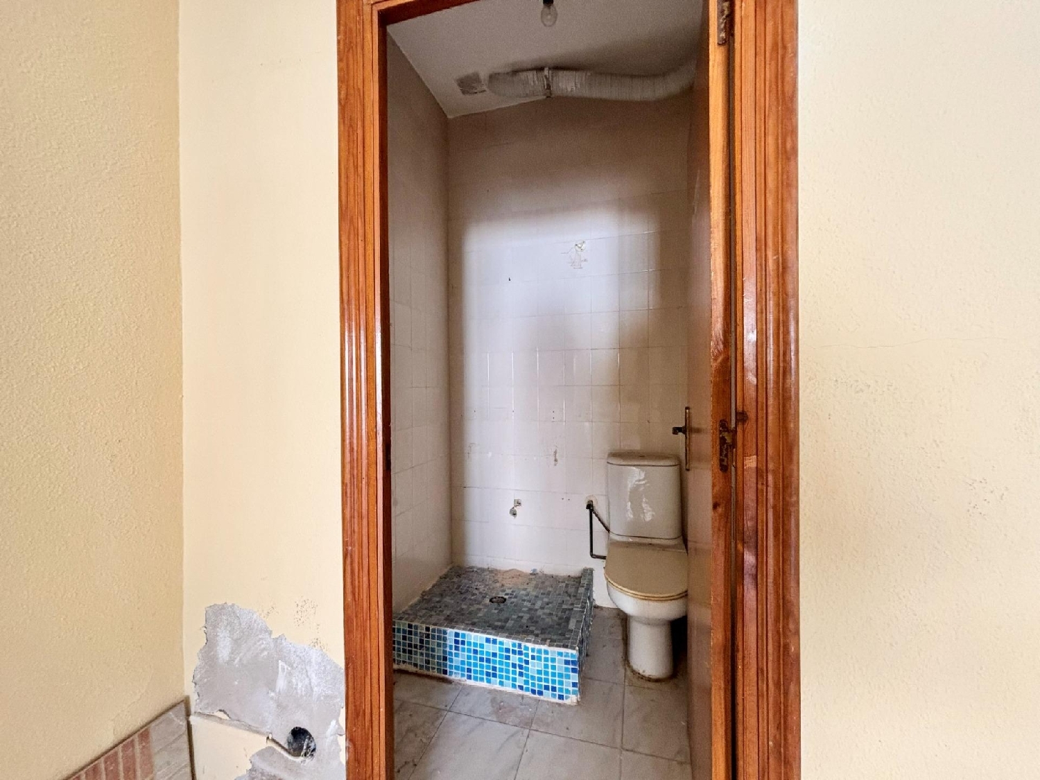  en venta local Rojales Baix Segura 5