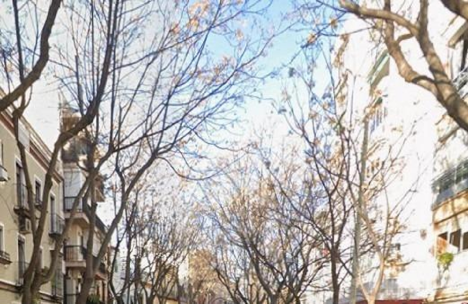  te koop bedrijfsruimte Sevilla La Nueva Sur 1