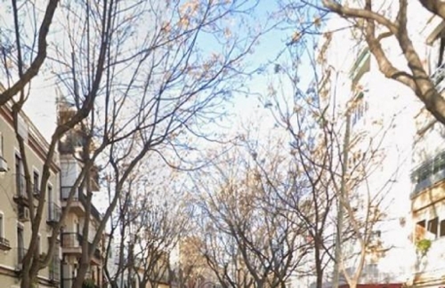 Sevilla La Nueva Sur bedrijfsruimte foto 6366695