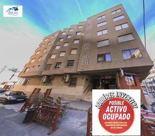 Torrevieja Baix Segura commercial premise foto 6359931