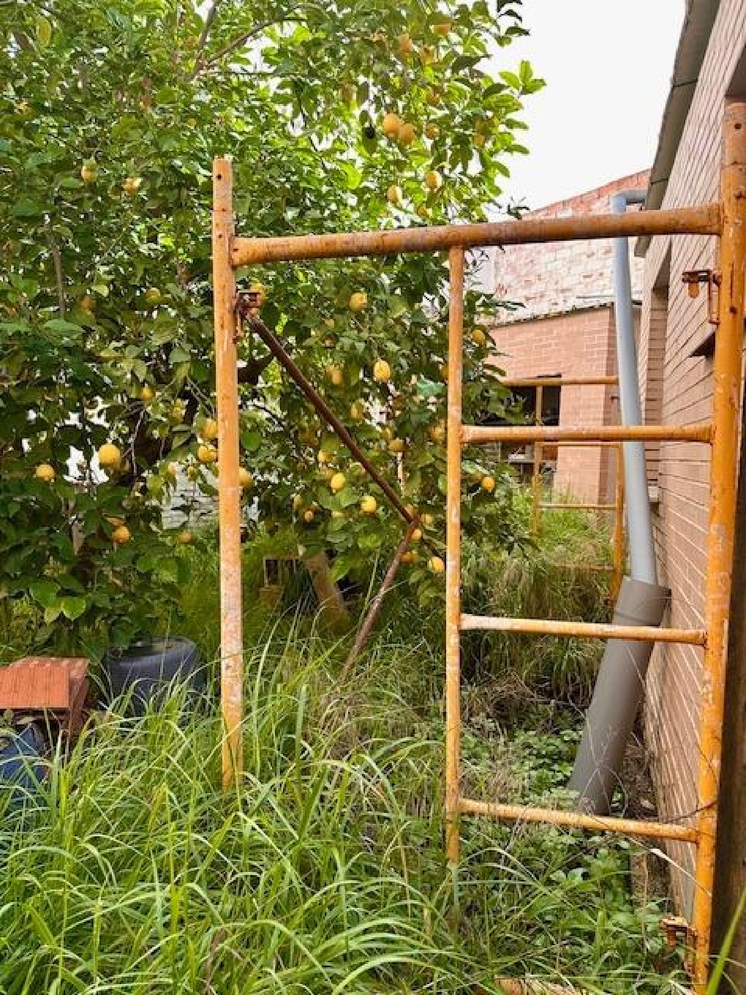  for sale commercial premise Valencia De Las Torres Campiña Sur 3