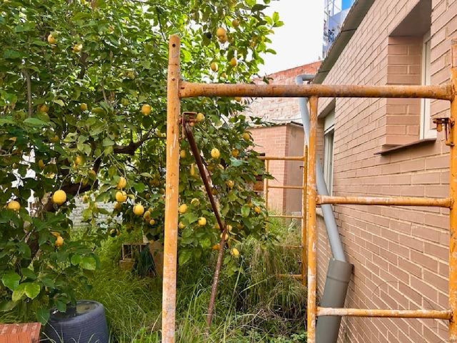  for sale commercial premise Valencia De Las Torres Campiña Sur 2