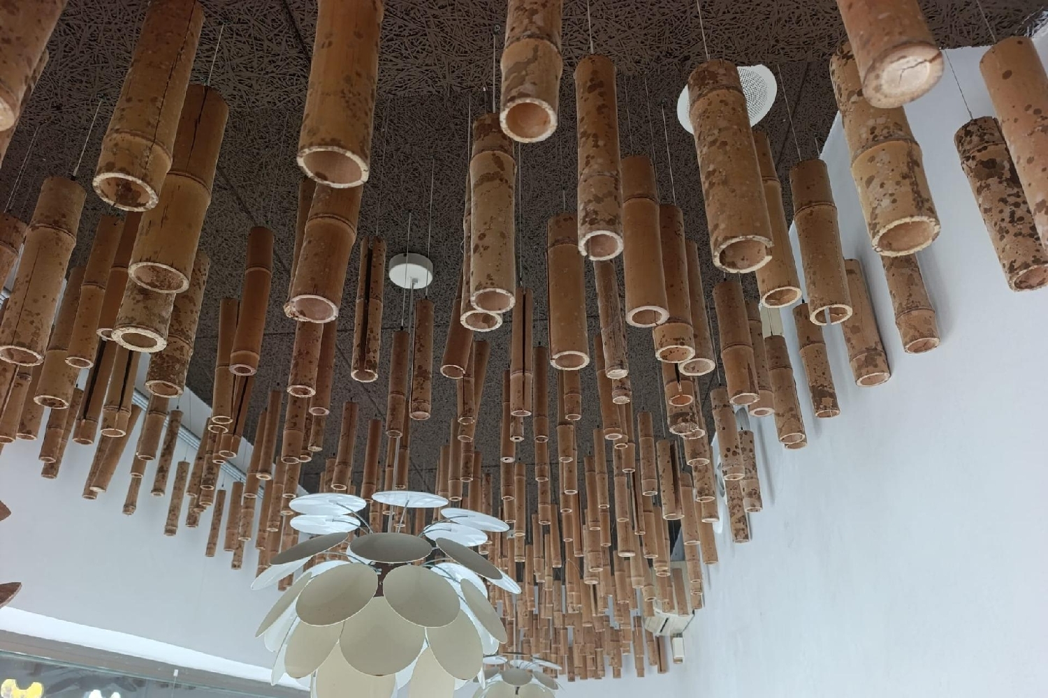  à vendre local commercial Villafranca De Córdoba Alto Guadalquivir 7