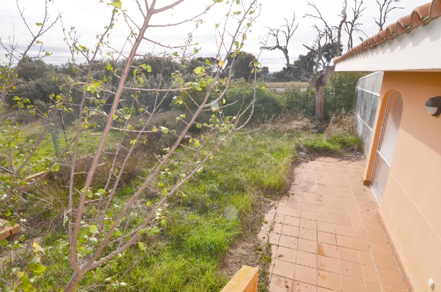  till salu parhus Carrascal De Barregas Campo De Salamanca 8