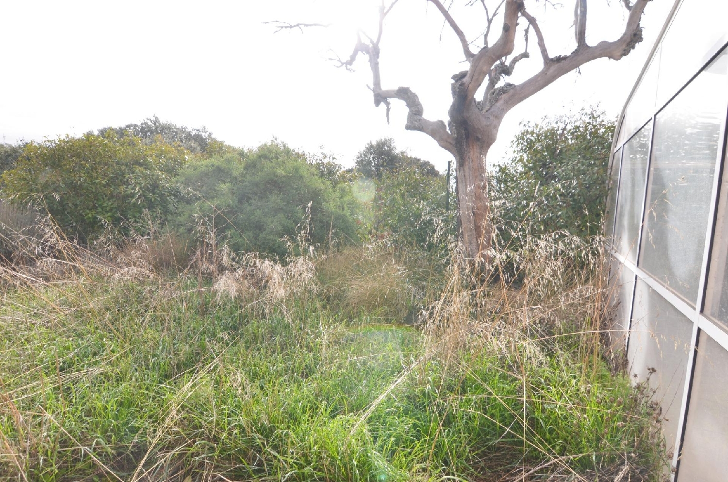  till salu parhus Carrascal De Barregas Campo De Salamanca 7