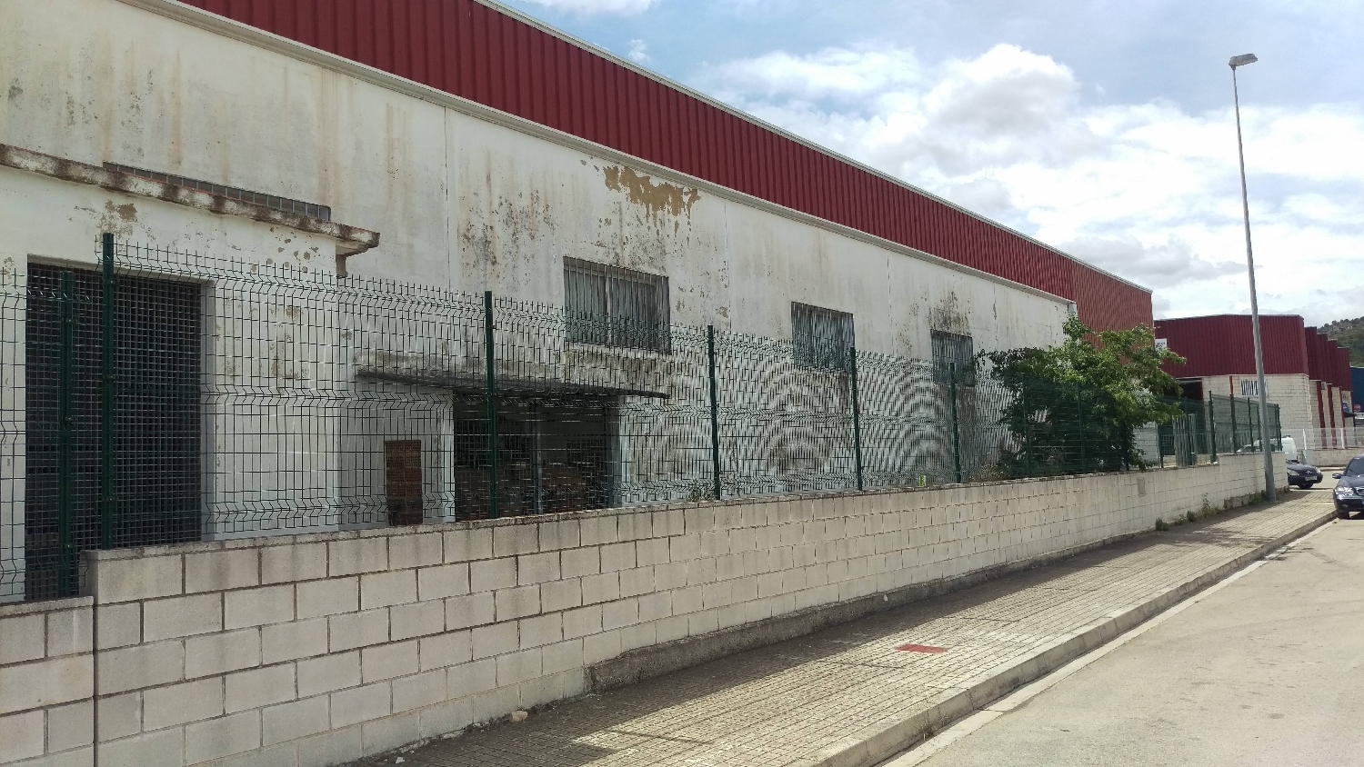  for sale shop Oliva Safor 2