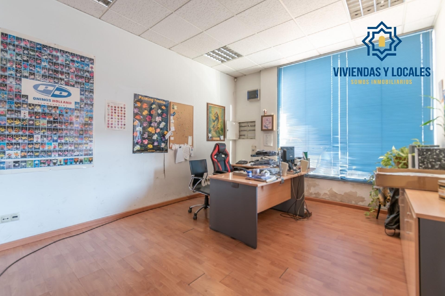  till salu butik Peligros Vega De Granada 8