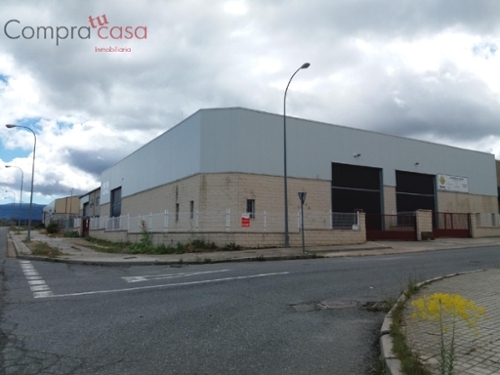 Segovia De Sacedón Campo De Salamanca winkel foto 6358062