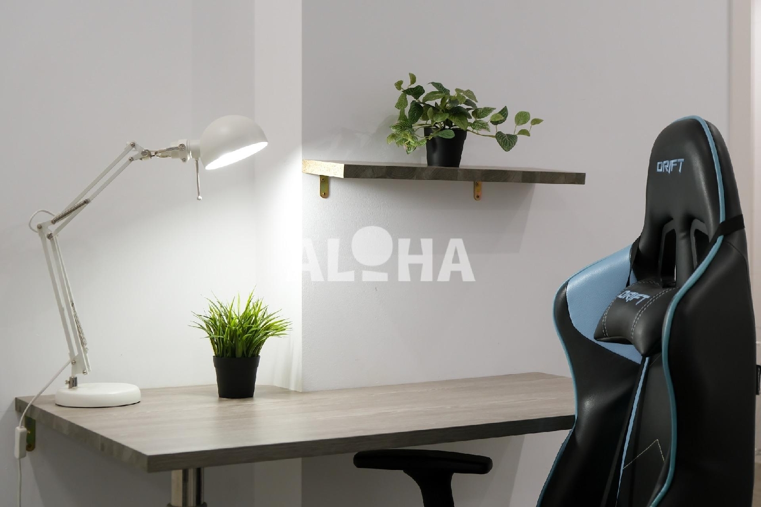 à vendre studio Alfara Del Patriarca Horta Nord 4