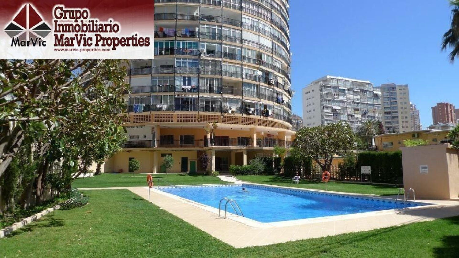  en venta estudio Benidorm (Centro) Marina Baixa 1