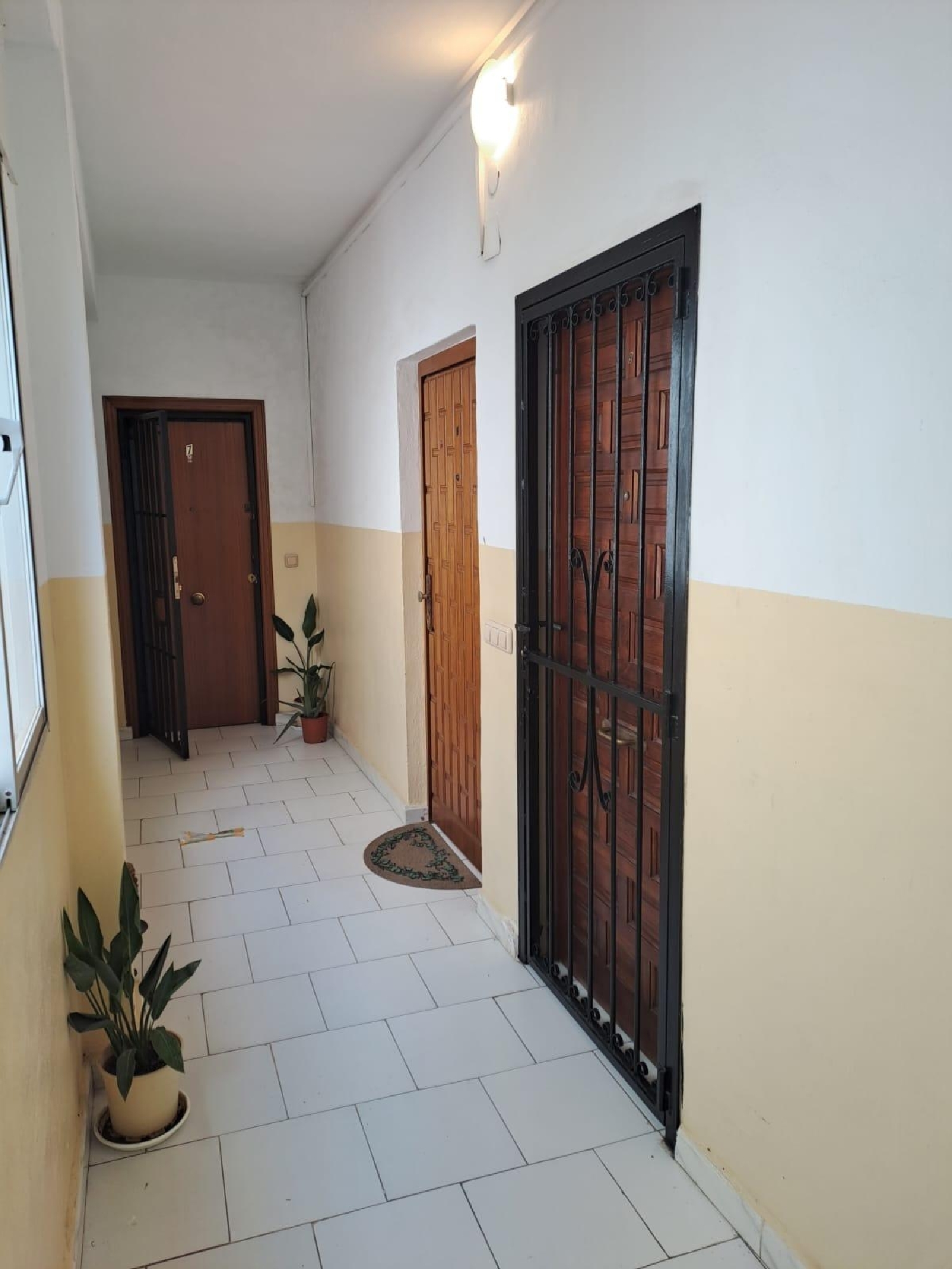  en venta estudio Torrevieja Baix Segura 5