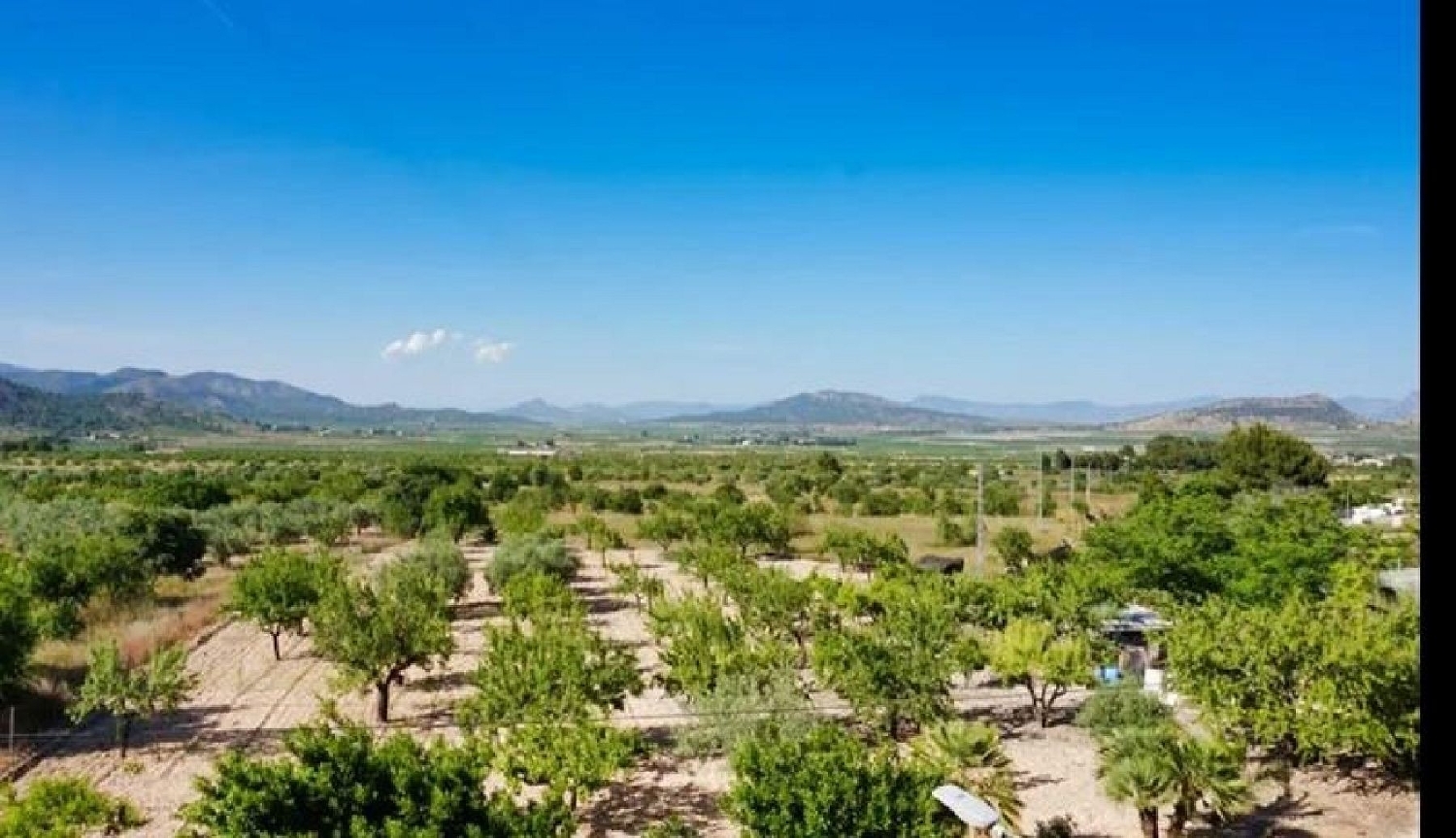  te koop rijtjeshuis Casas Del Señor Vinalopó Mitjà 6