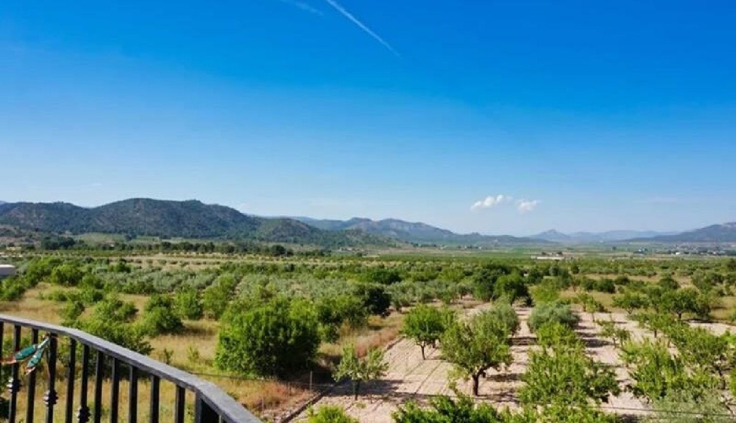  te koop rijtjeshuis Casas Del Señor Vinalopó Mitjà 5