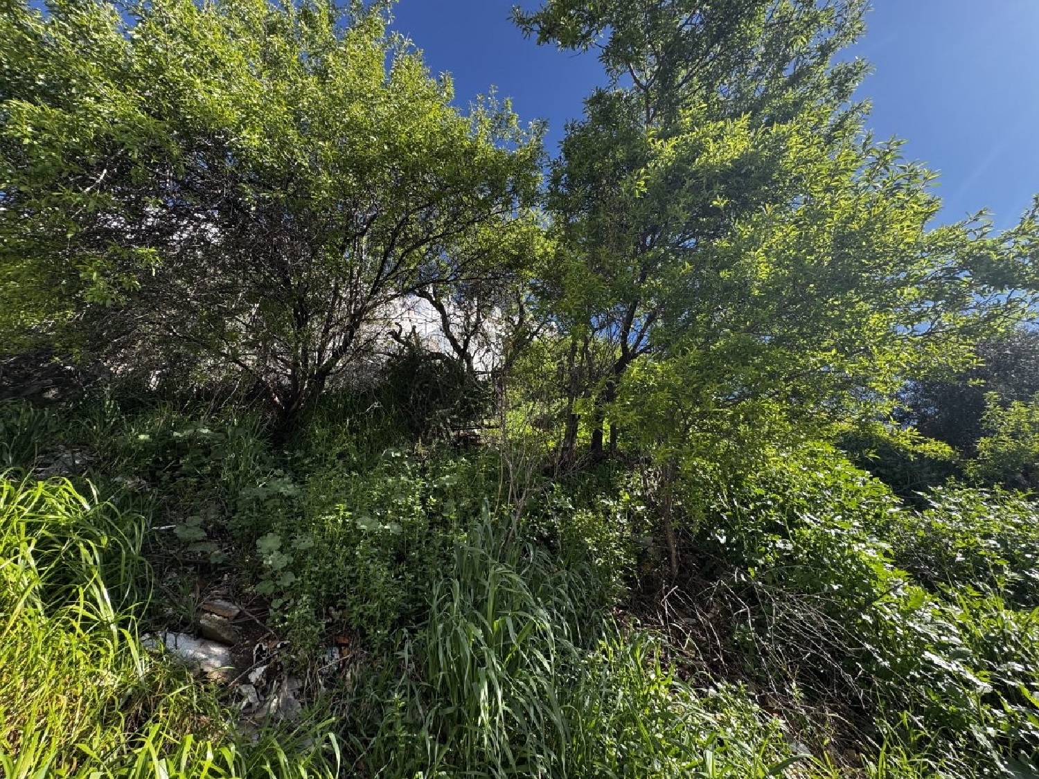  à vendre maison de ville Olvera Sierra De Cádiz 1