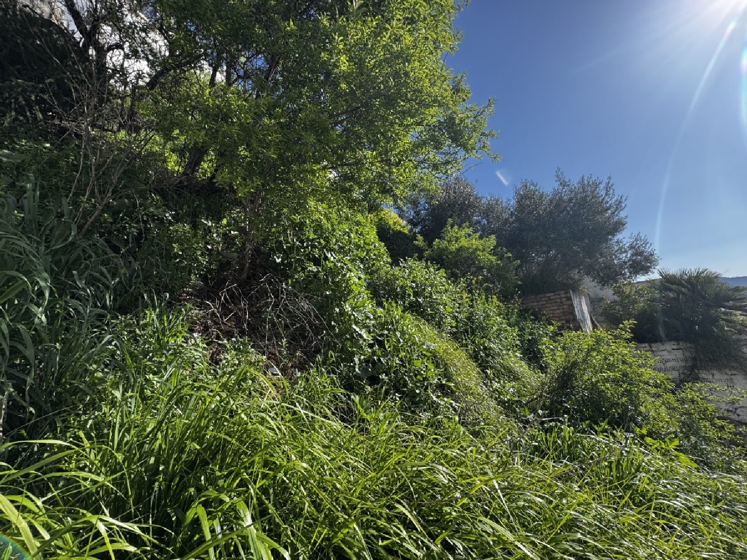  à vendre maison de ville Olvera Sierra De Cádiz 4