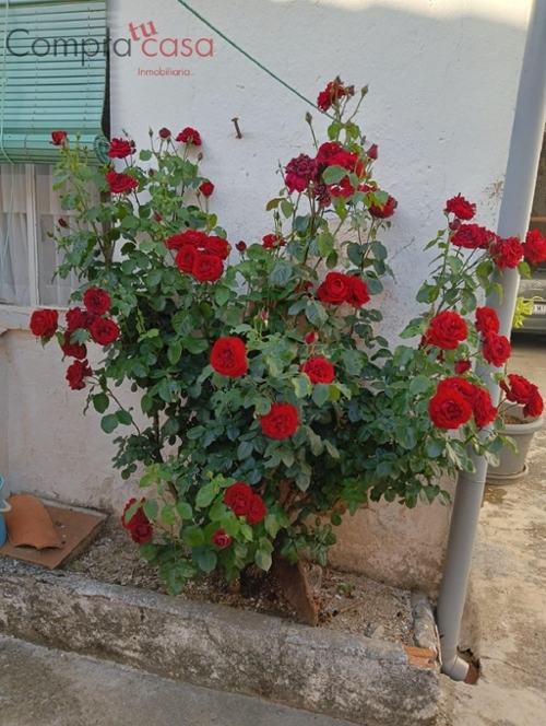 Sepúlveda Ciudad Rodrigo rijtjeshuis foto 6358068