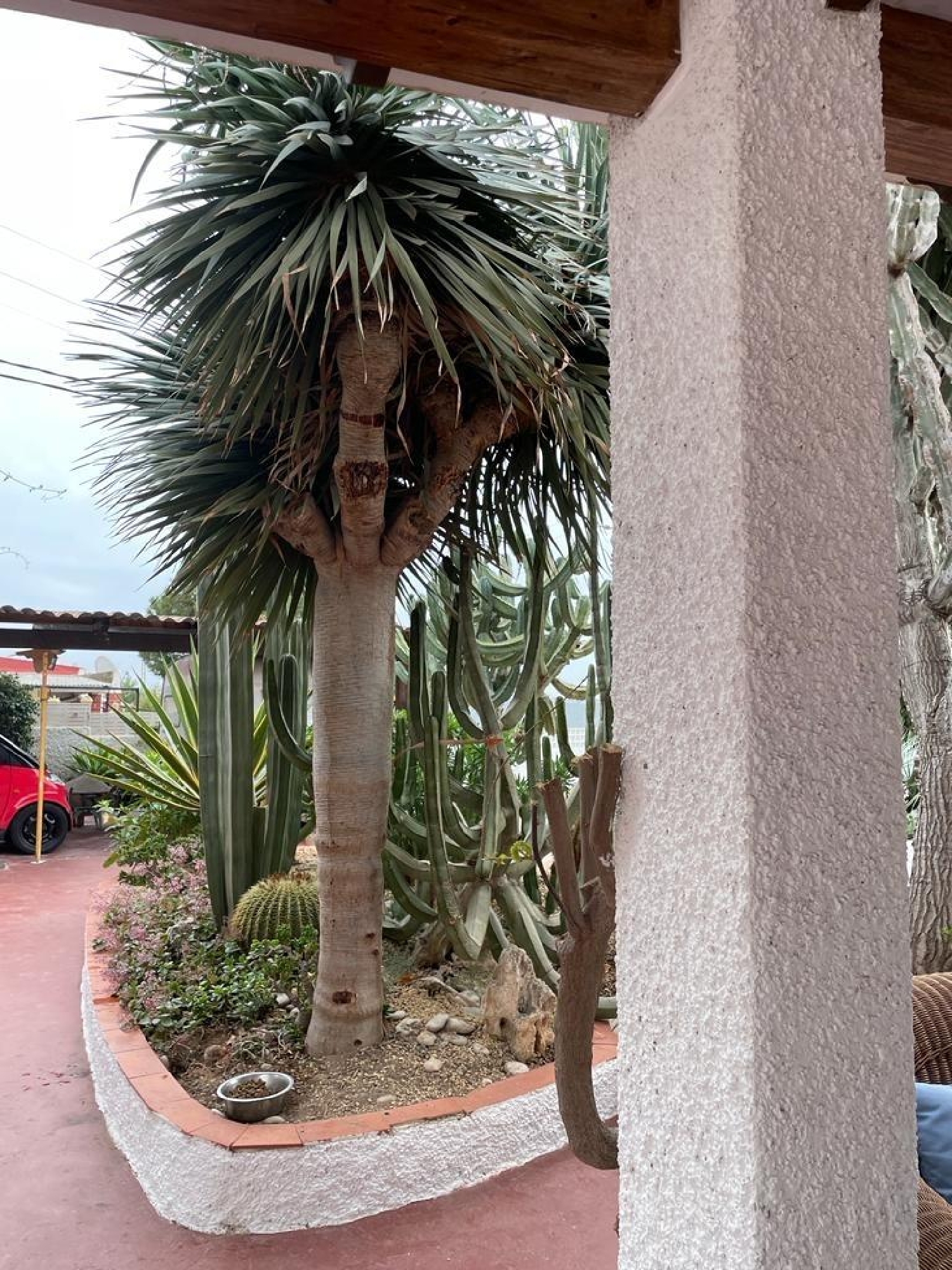 à vendre villa Alicante Centro 03001 Alacantí 3