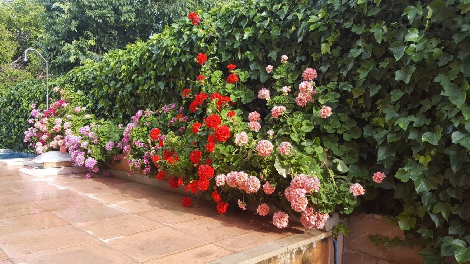  te koop villa Alicante Centro 03001 Alacantí 2