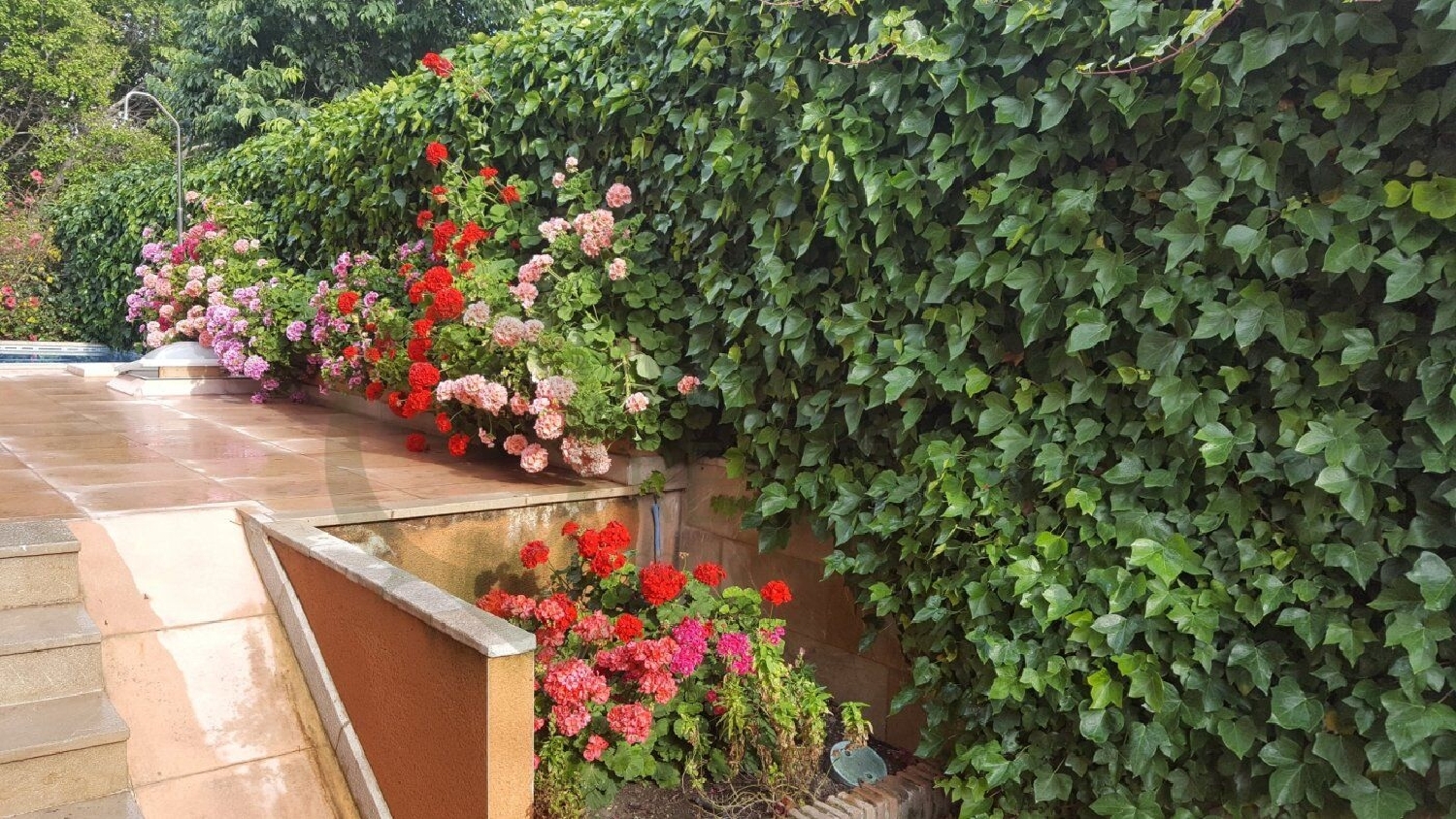  te koop villa Alicante Centro 03001 Alacantí 5