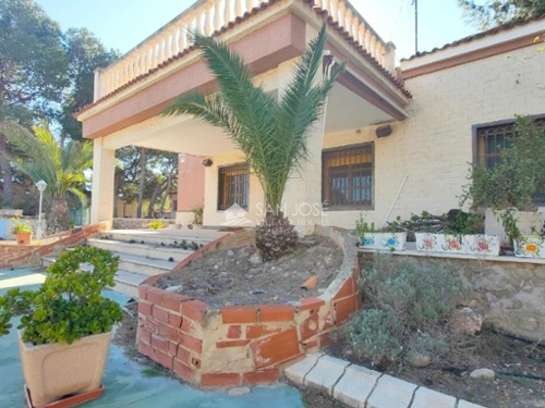 Aspe Vinalopó Mitjà villa foto 6354500