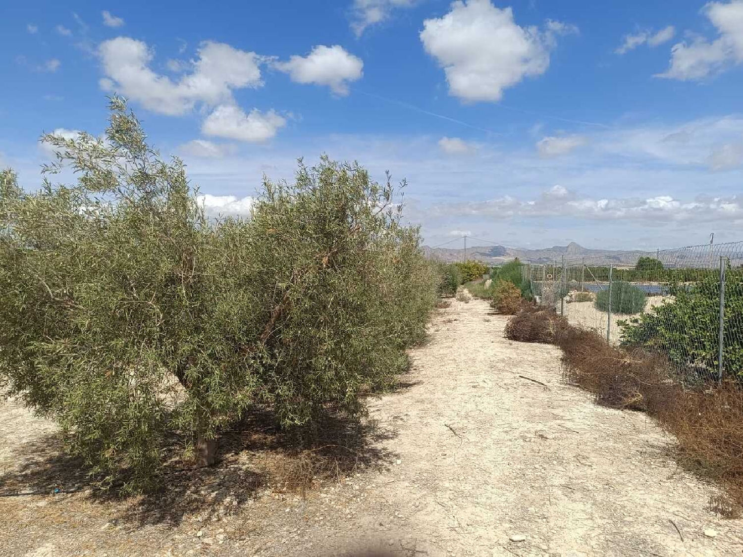  till salu villa Benferri Baix Segura 39